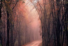 虎扑体育:末节敢打敢投!阿隆-维金斯17中8&三分8中3拿到19分3篮板.