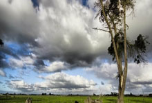 虎扑体育:斯帕莱蒂:德国队的身高有优势;我对次回合有信心.